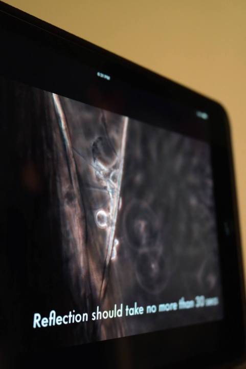 10557484_10204412738261194_2353323488683419199_o