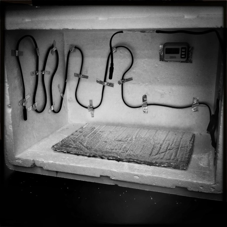 milieux-event-mm-dit_incubator