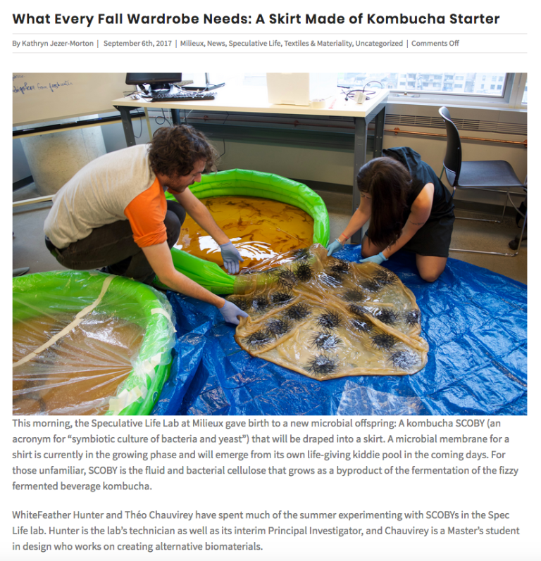 Screen Shot 2017-09-06 at 4.11.39 PM