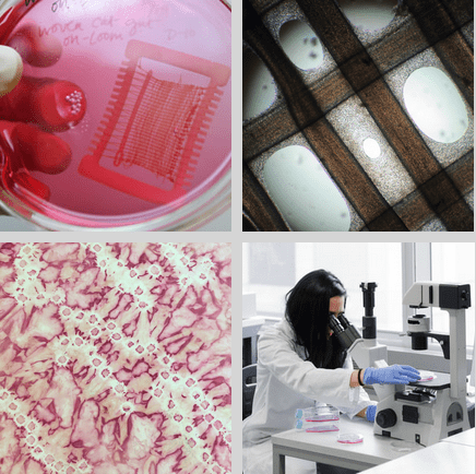 Screen Shot 2017-12-20 at 11.51.21 AM